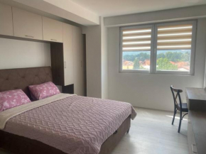 Mihail Apartman